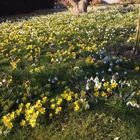 Kurviertel Ii * Uberlingen