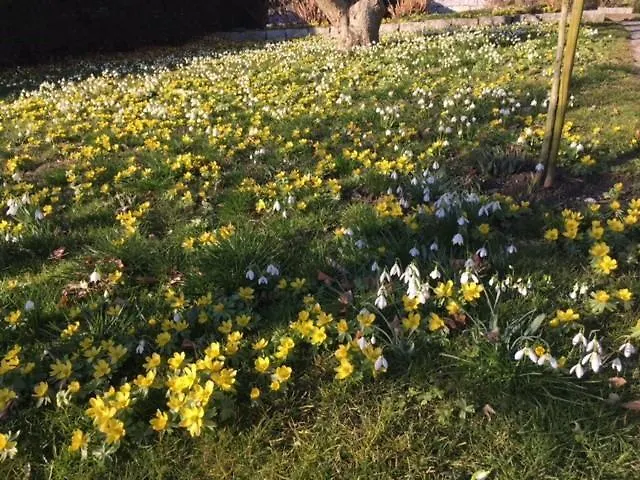 Kurviertel Ii * Uberlingen